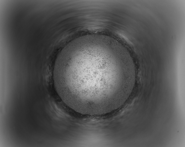 X0000089380917200706151201