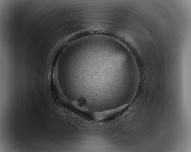 X0000089380920200706151201