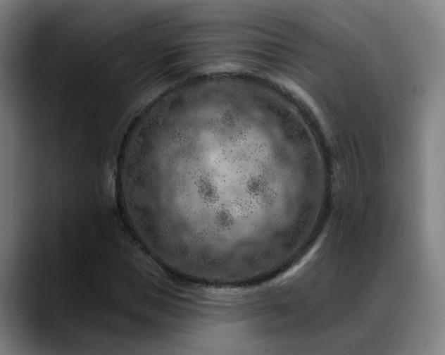 X0000089380921200706151201