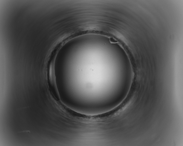 X0000089380922200706151201