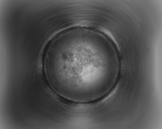X0000089380923200706151201