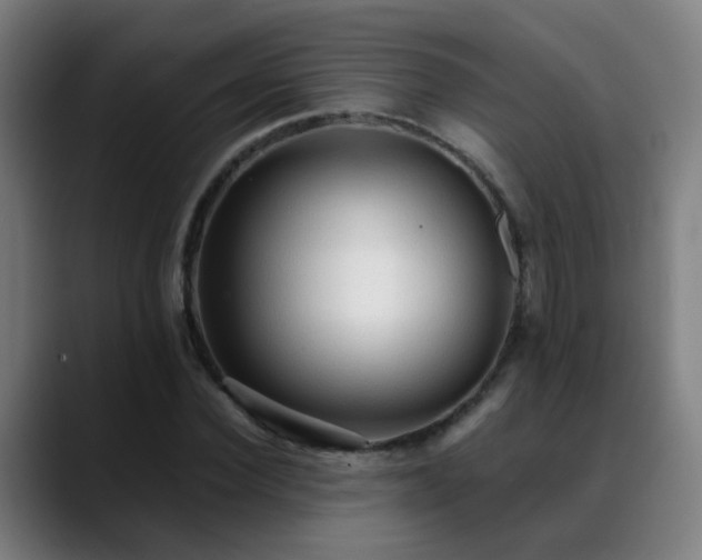 X0000089380924200706151201
