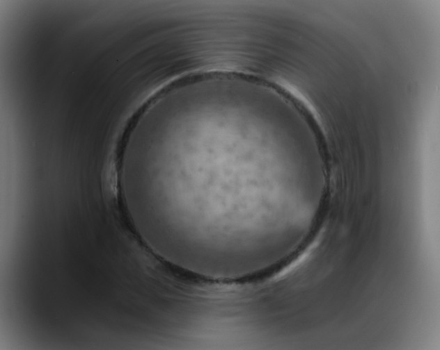X0000089380925200706151201