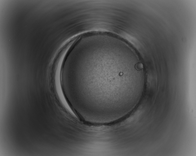 X0000089380926200706151201