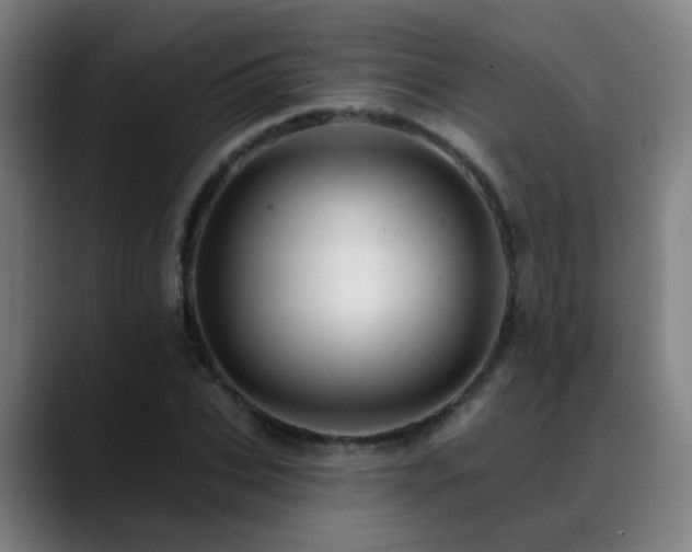 X0000089380927200706151201