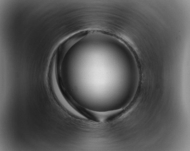 X0000089380928200706151201