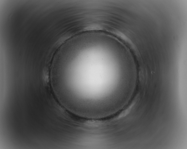 X0000089380929200706151201