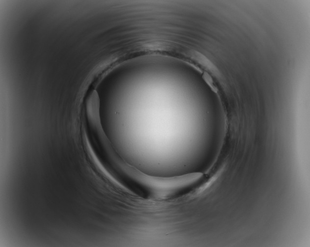 X0000089380930200706151201