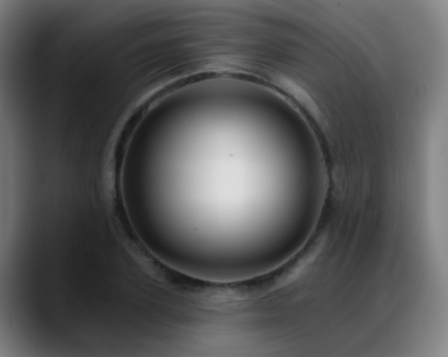 X0000089380931200706151201