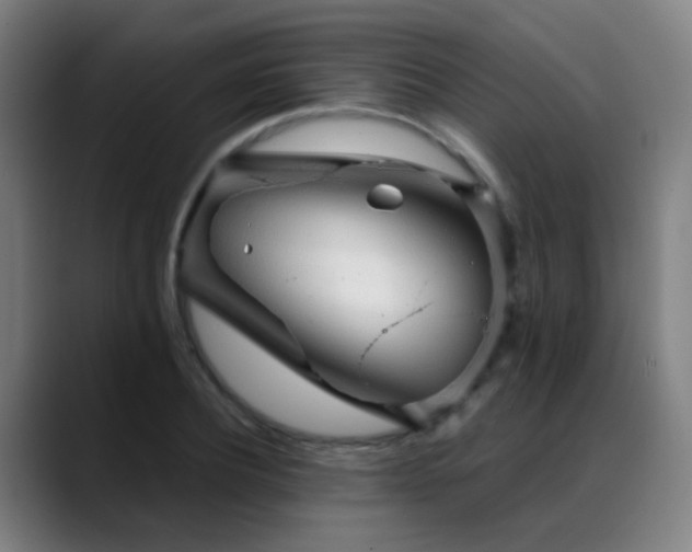 X0000089380932200706151201