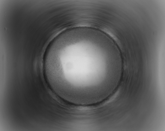 X0000089380933200706151201