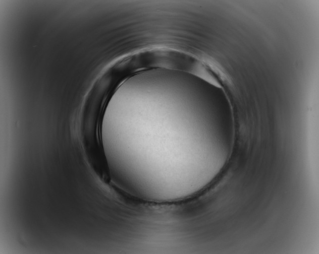 X0000089380934200706151201