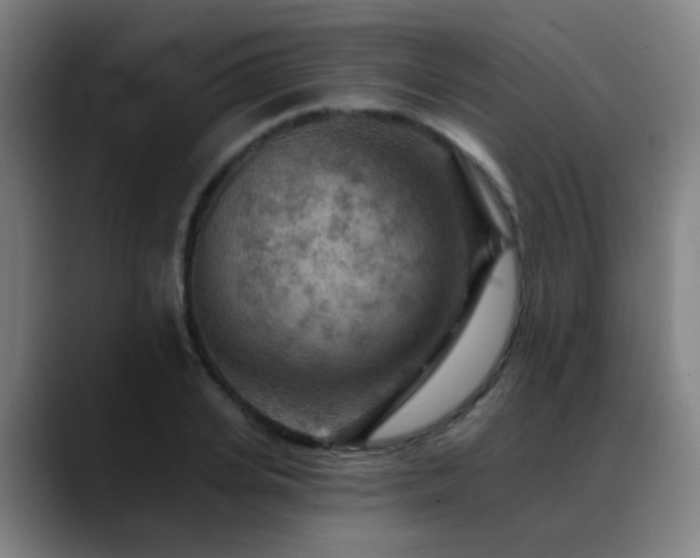 X0000089380935200706151201