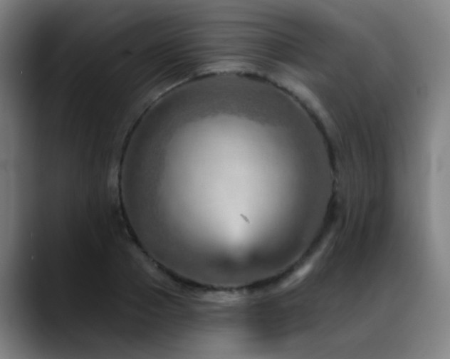 X0000089380937200706151201
