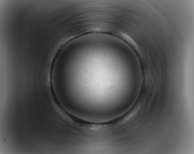 X0000089380938200706151201
