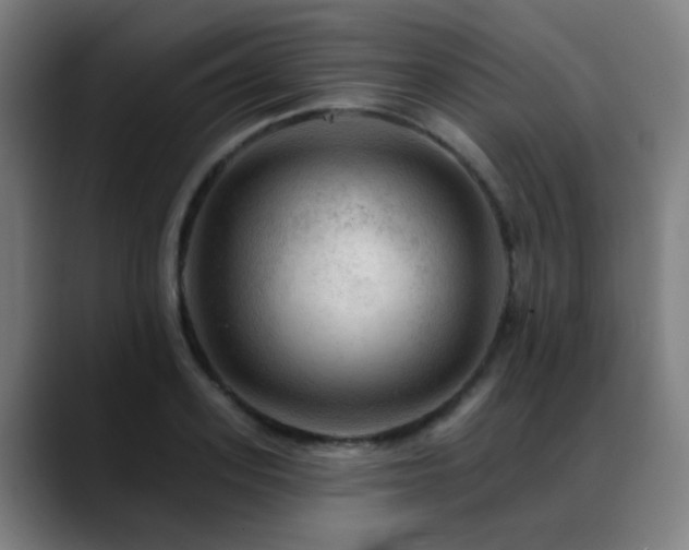X0000089380939200706151201