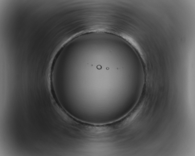 X0000089380941200706151201