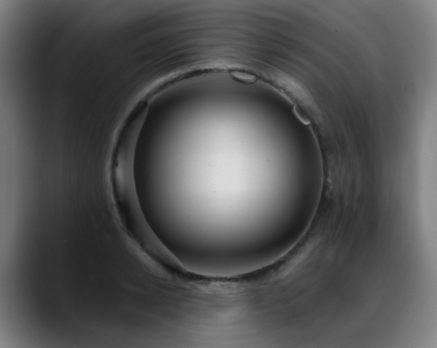 X0000089380942200706151201