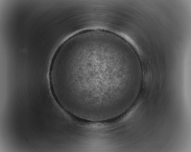 X0000089380943200706151201