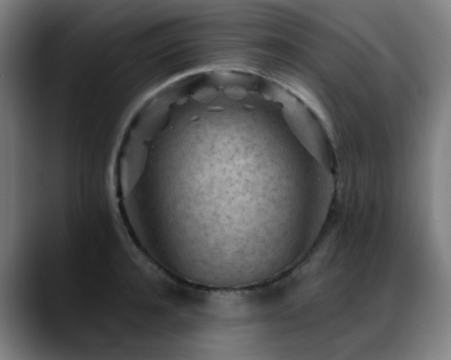 X0000089380944200706151201