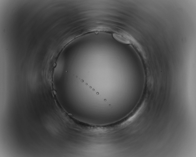 X0000089380945200706151202