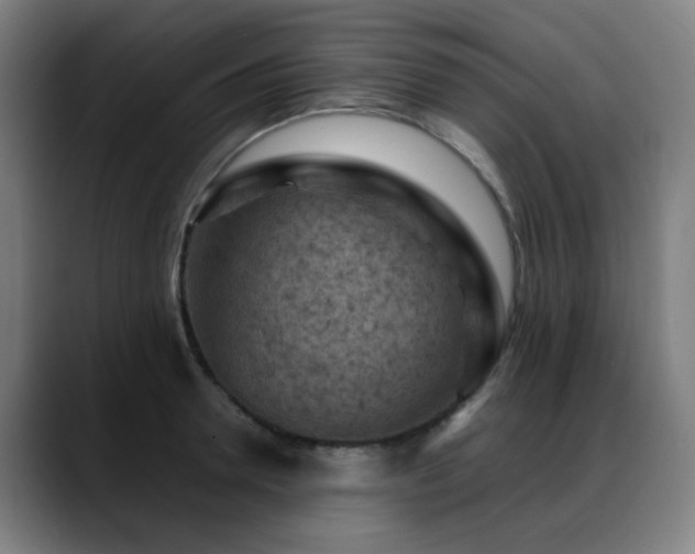 X0000089380946200706151202