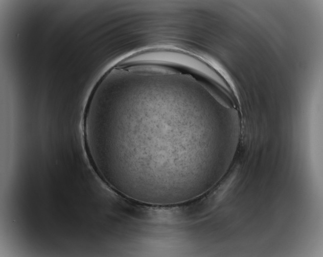 X0000089380951200706151202