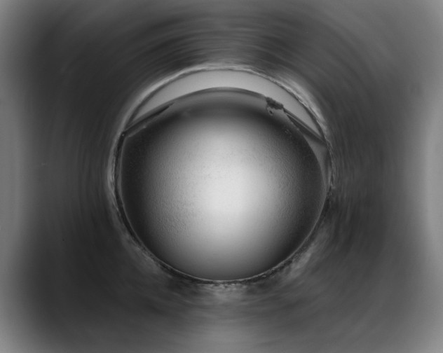 X0000089380952200706151202