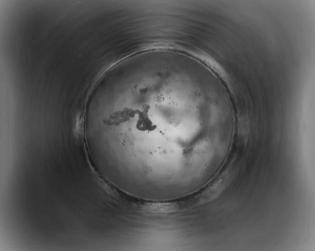 X0000089380953200706151202
