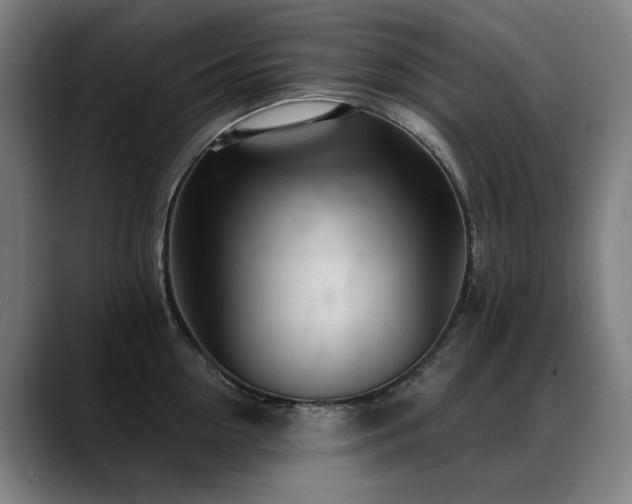 X0000089380954200706151202