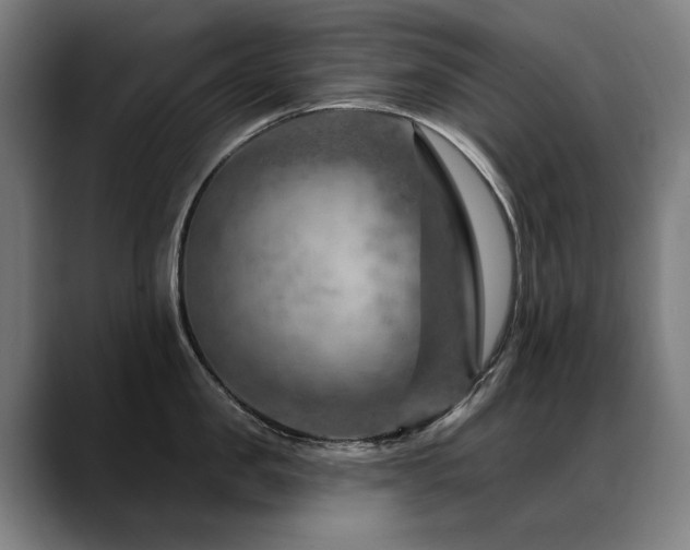 X0000089380957200706151202