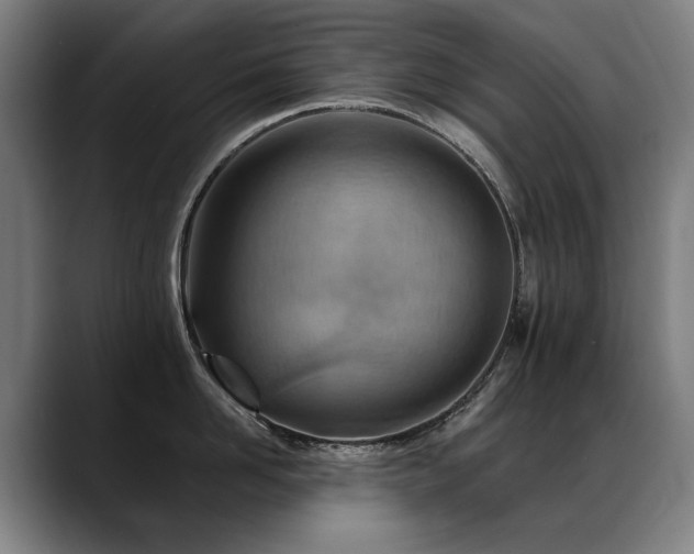 X0000089380958200706151202