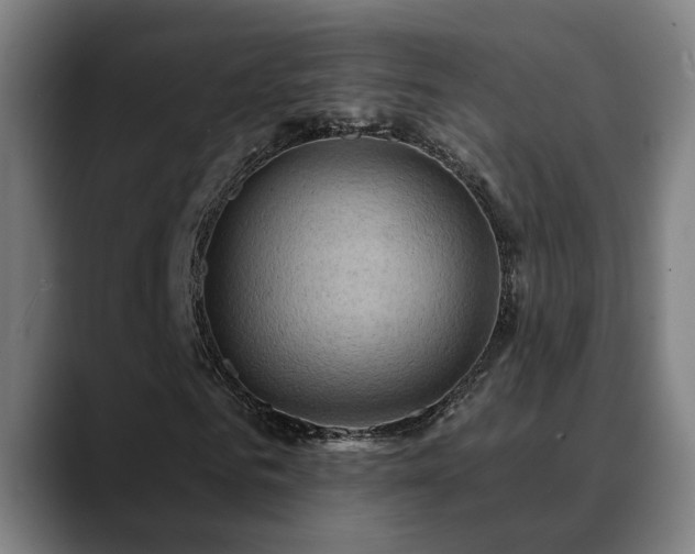 X0000089380961200706151201