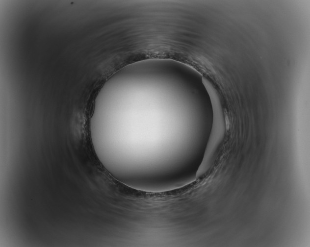 X0000089380964200706151201