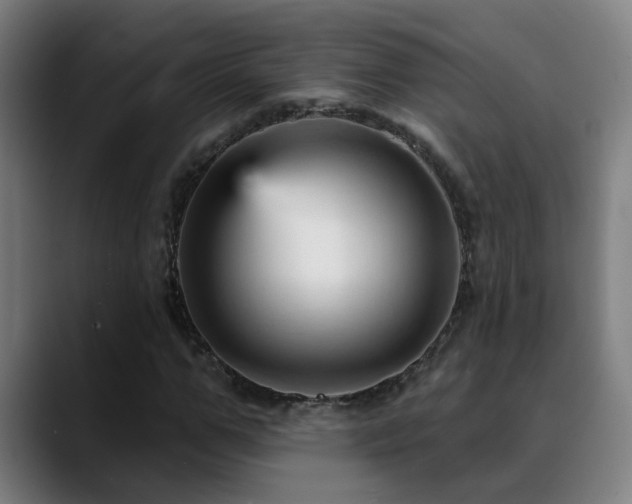 X0000089380967200706151201