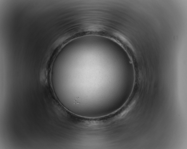 X0000089380970200706151201