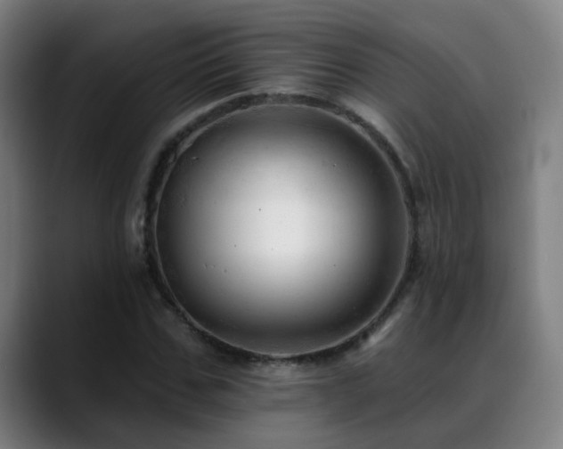 X0000089380971200706151201