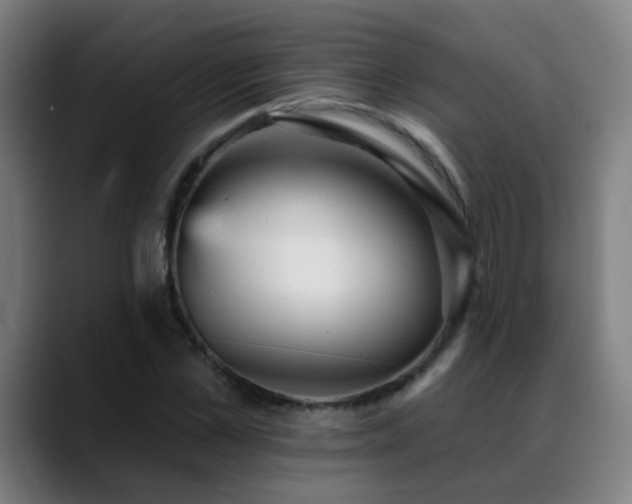 X0000089380973200706151201