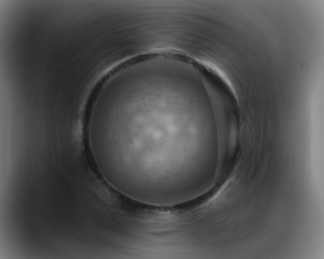 X0000089380975200706151201