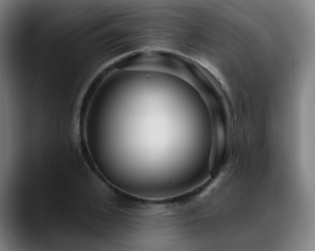 X0000089380976200706151201
