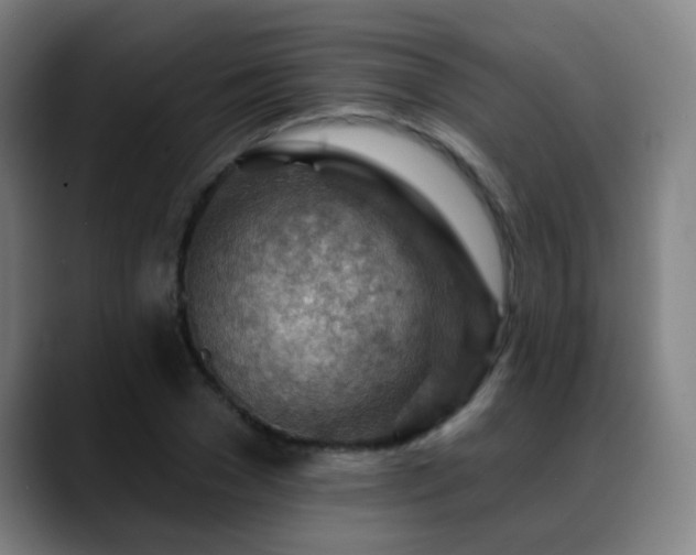 X0000089380977200706151201