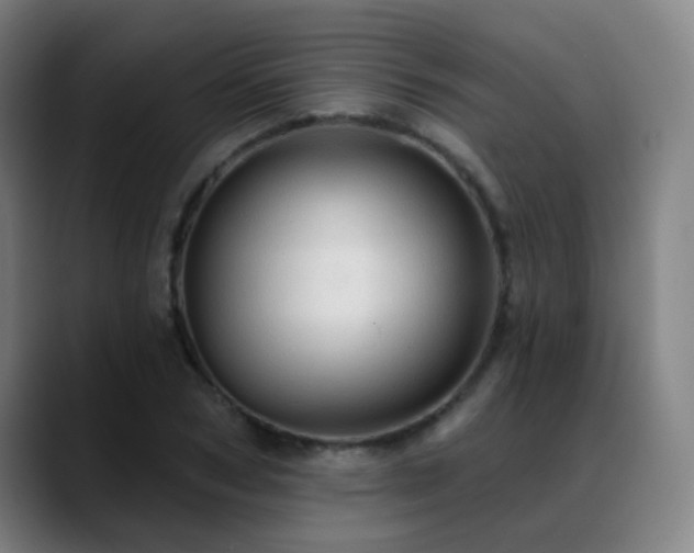 X0000089380978200706151201
