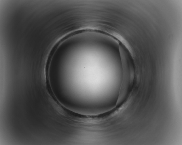 X0000089380980200706151201