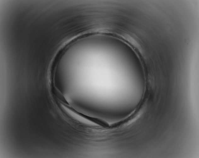 X0000089380981200706151201