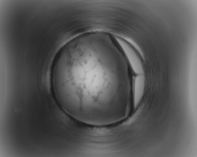 X0000089380983200706151201