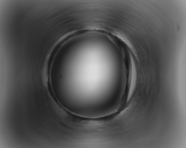 X0000089380984200706151201