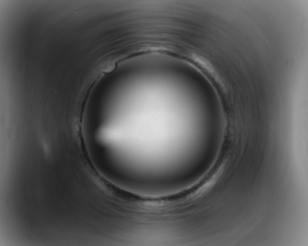 X0000089380985200706151201