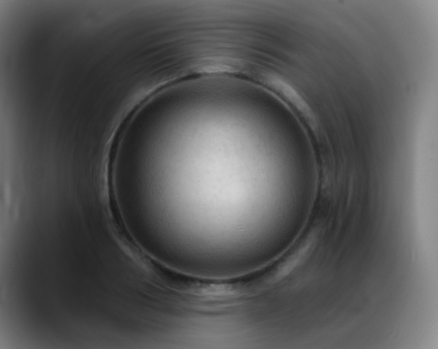X0000089380986200706151201