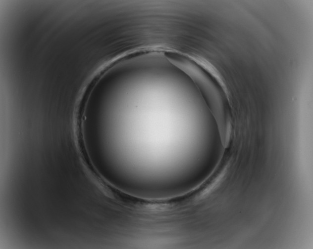 X0000089380989200706151201