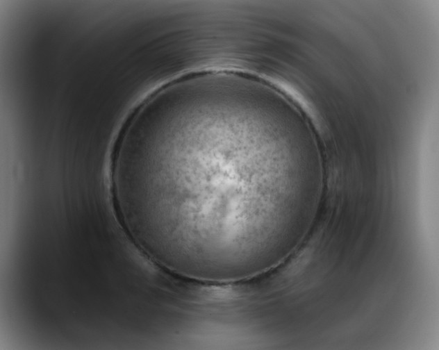X0000089380990200706151201